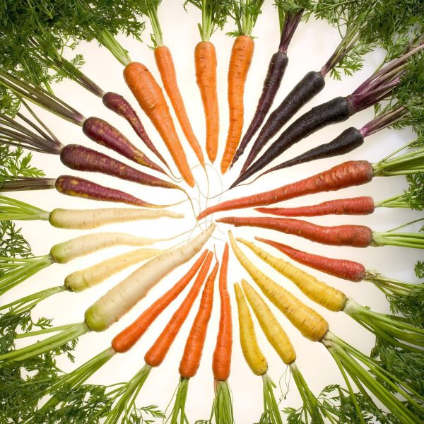 Women's VEGETARIAN Fat Burning Meal Plan Add-Ons